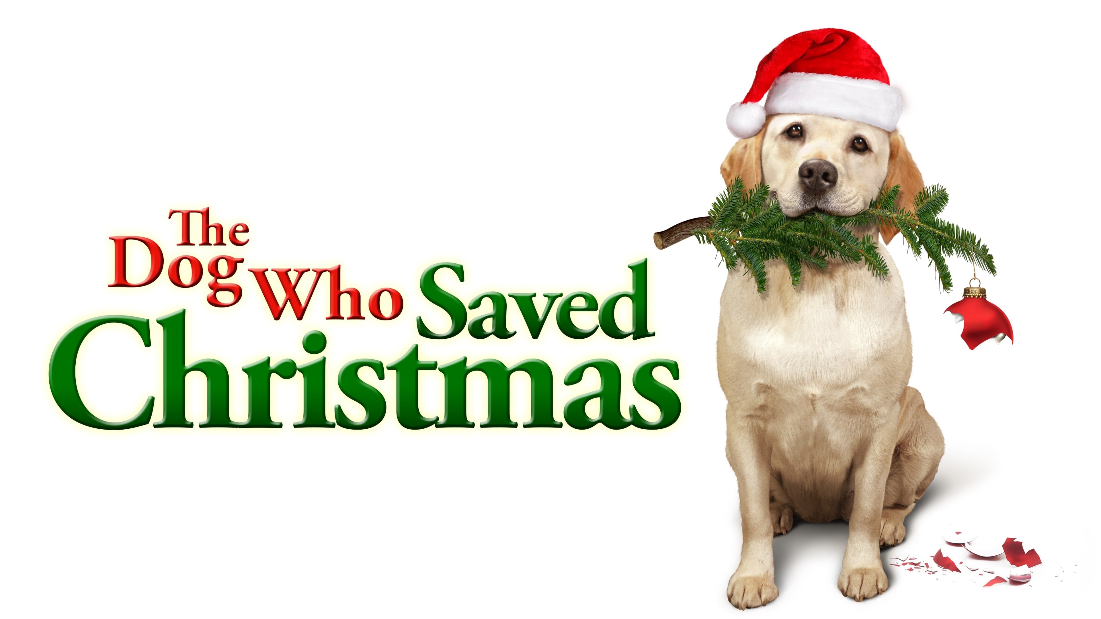 The Dog Who Saved Christmas (2009)