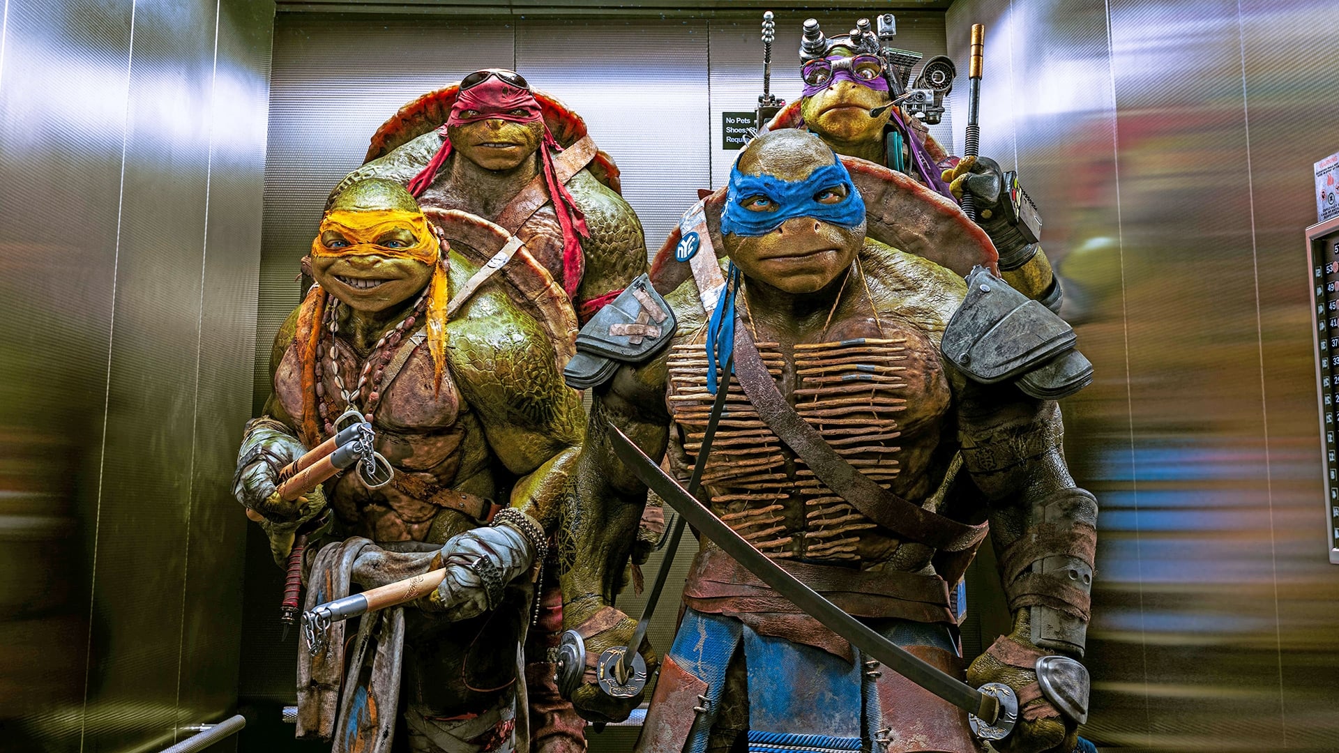 Teenage Mutant Ninja Turtles