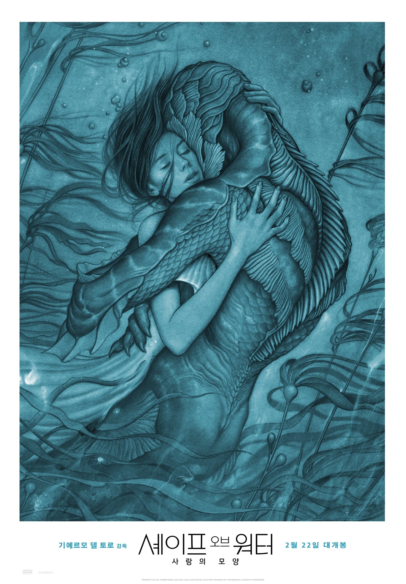 The Shape of Water