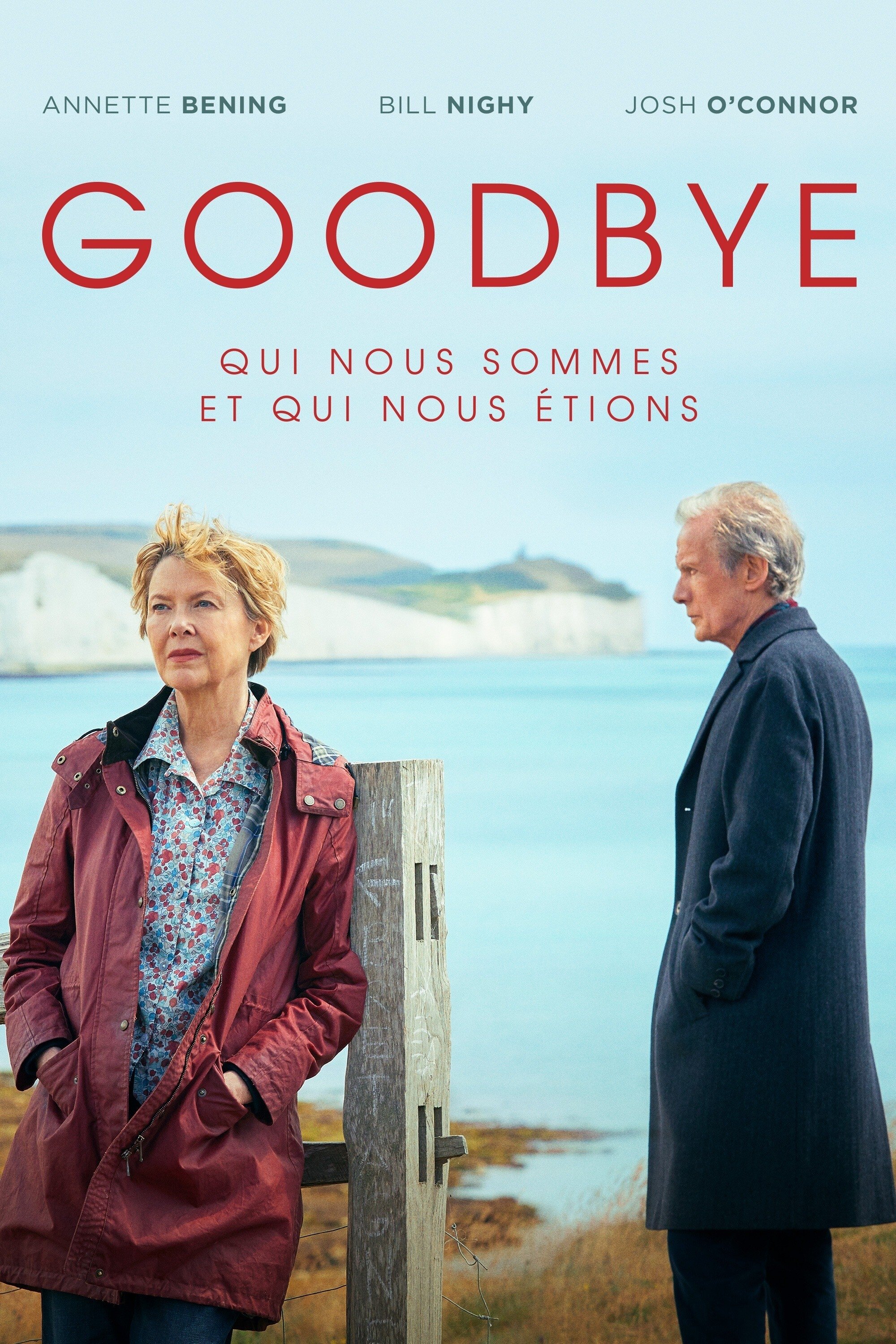 Affiche du film Goodbye 178785