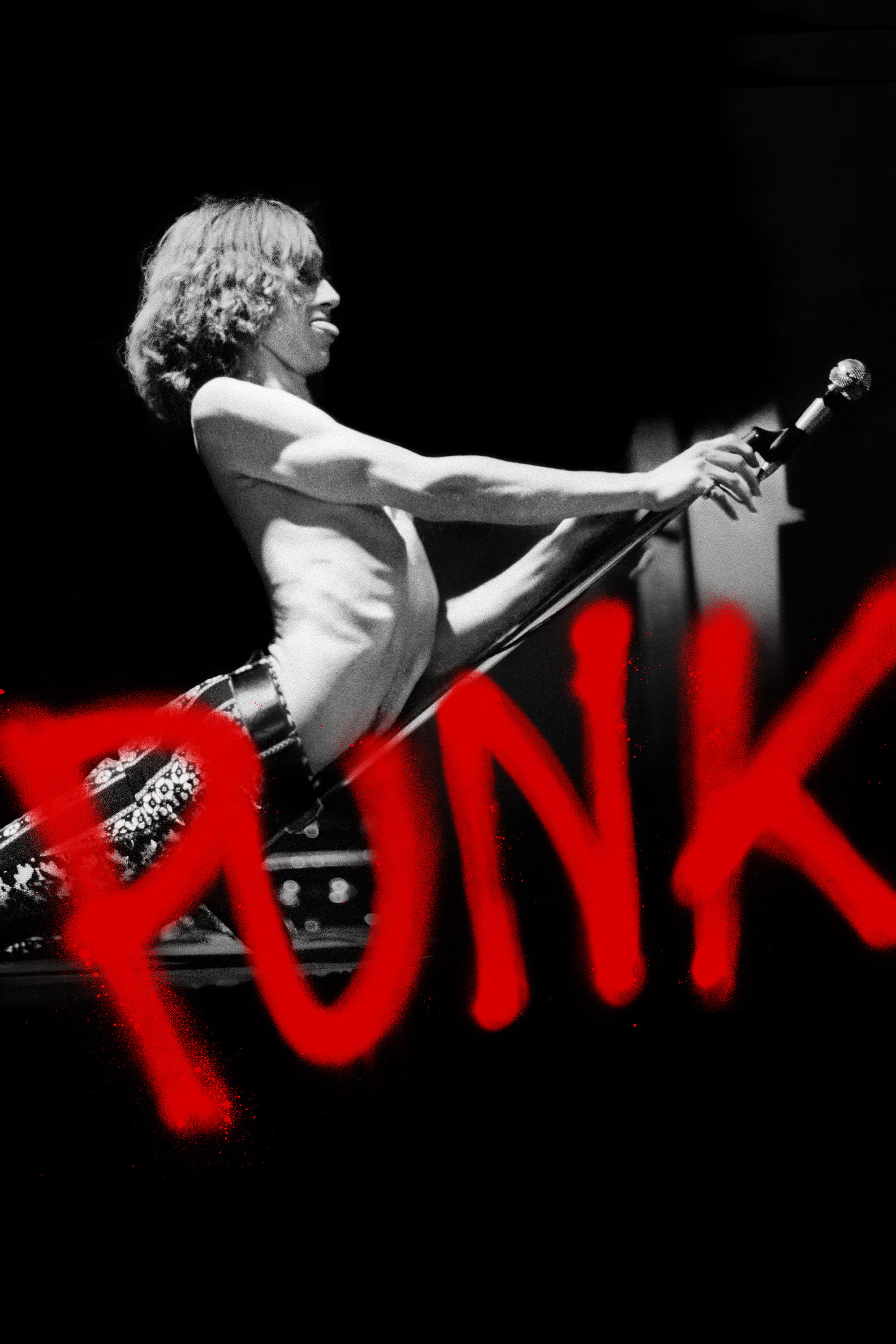 Punk TV Shows About Music Documentary