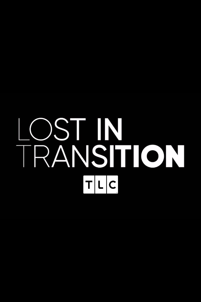 Lost in Transition Poster