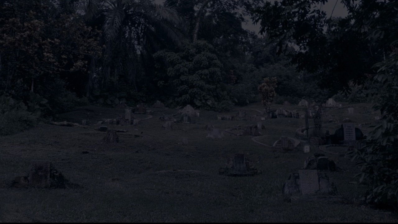 Where Have You Gone, Girl?