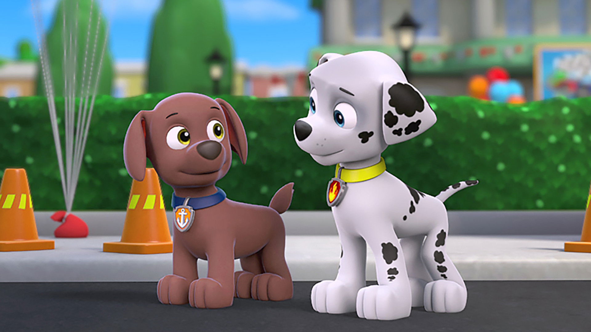PAW Patrol Season 1 :Episode 42  Pups Great Race