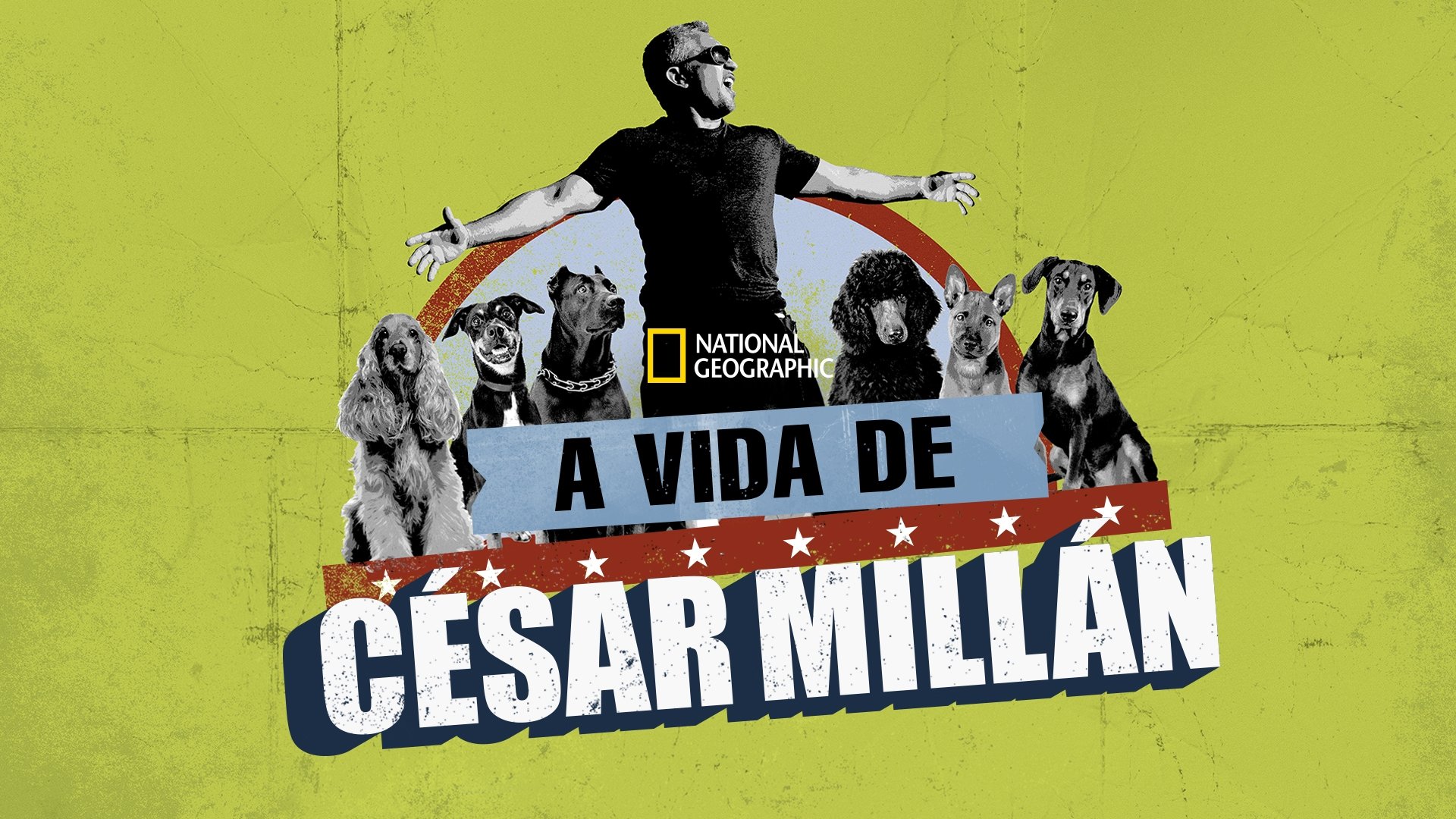 Cesar Millan: The Real Story