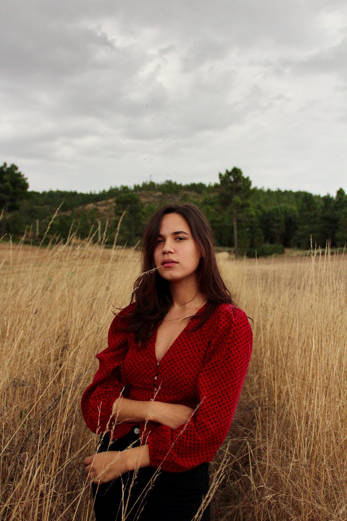 et billede af Ana Silvestre