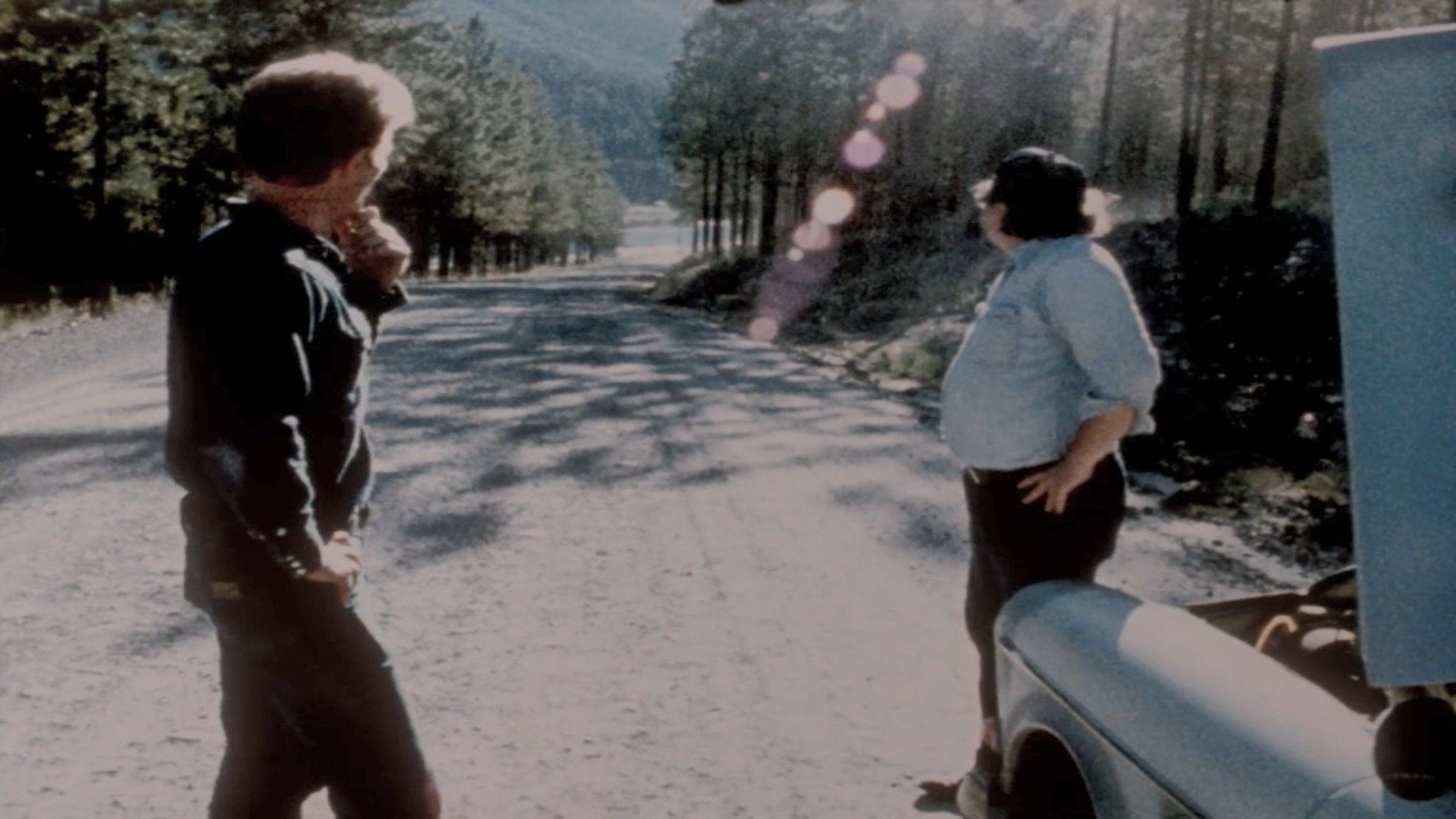 Last Chants for a Slow Dance (1977)