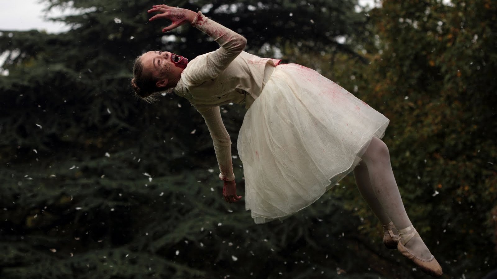Livid (2011)