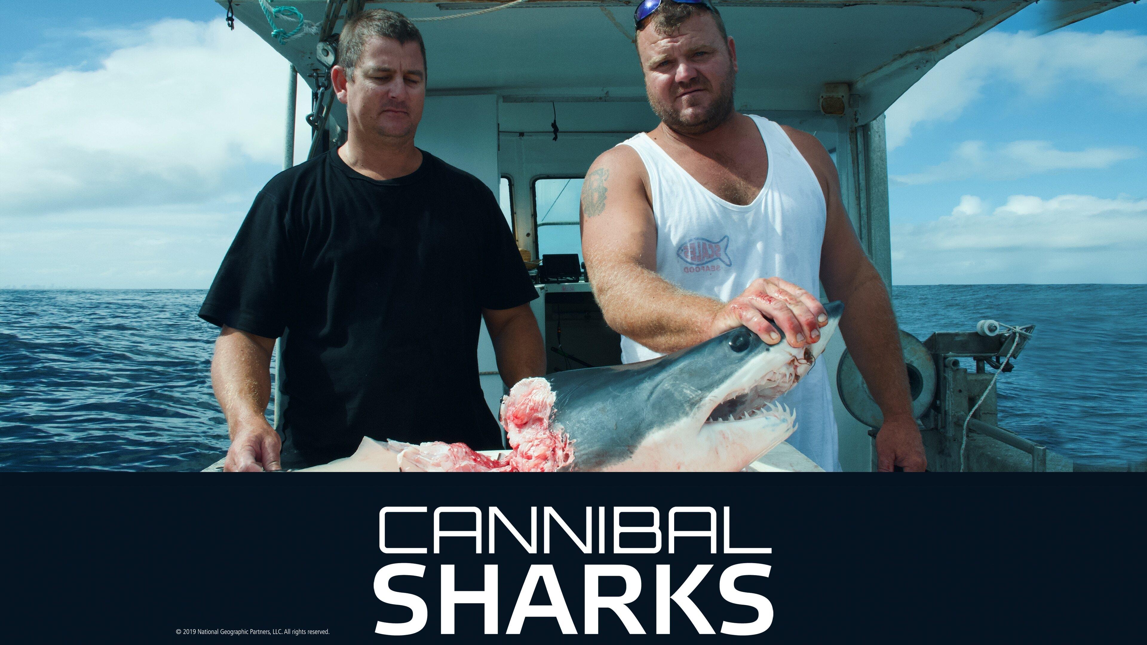 Cannibal Sharks