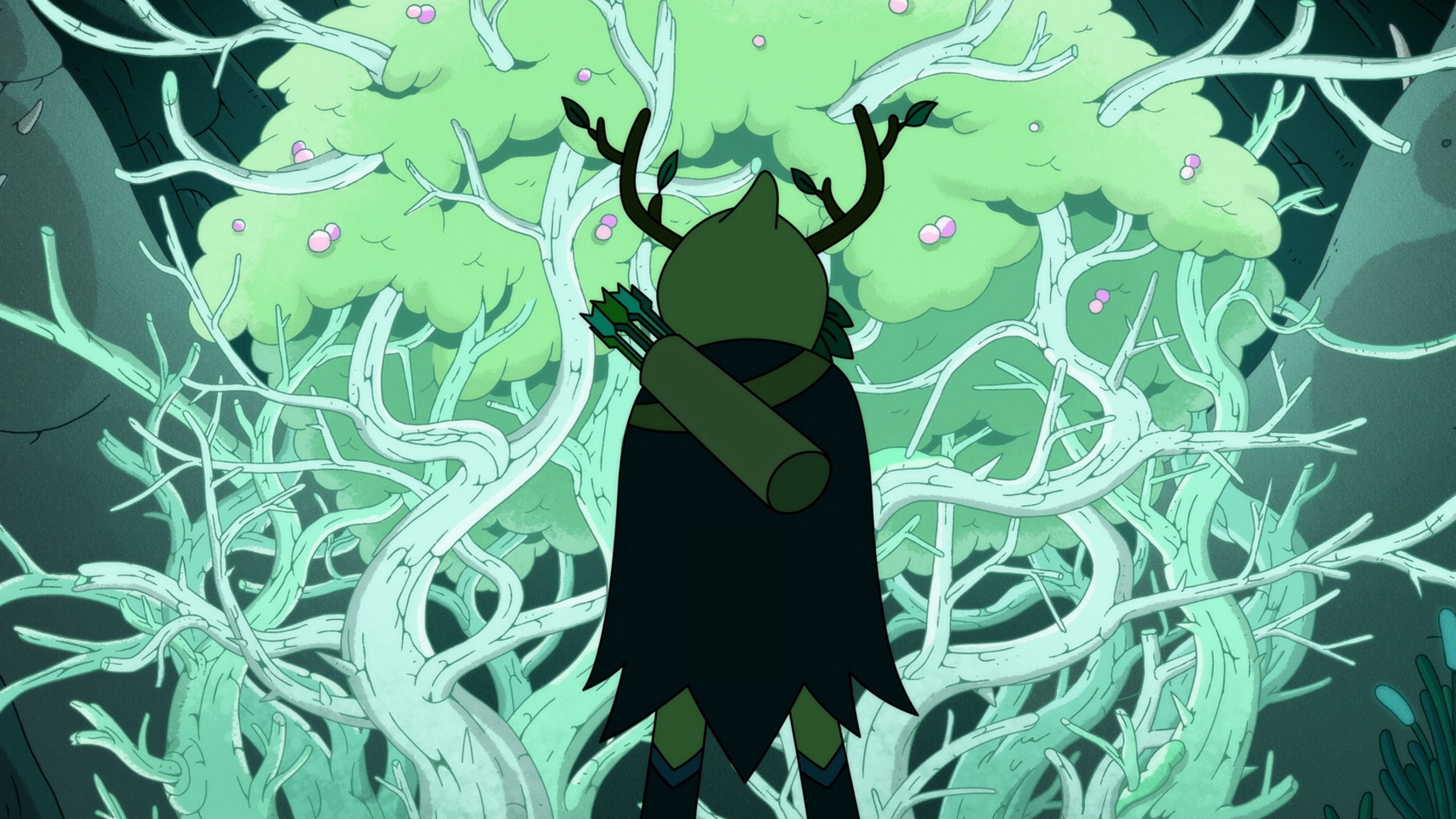 Hora de aventuras: Fionna y Cake 2x2