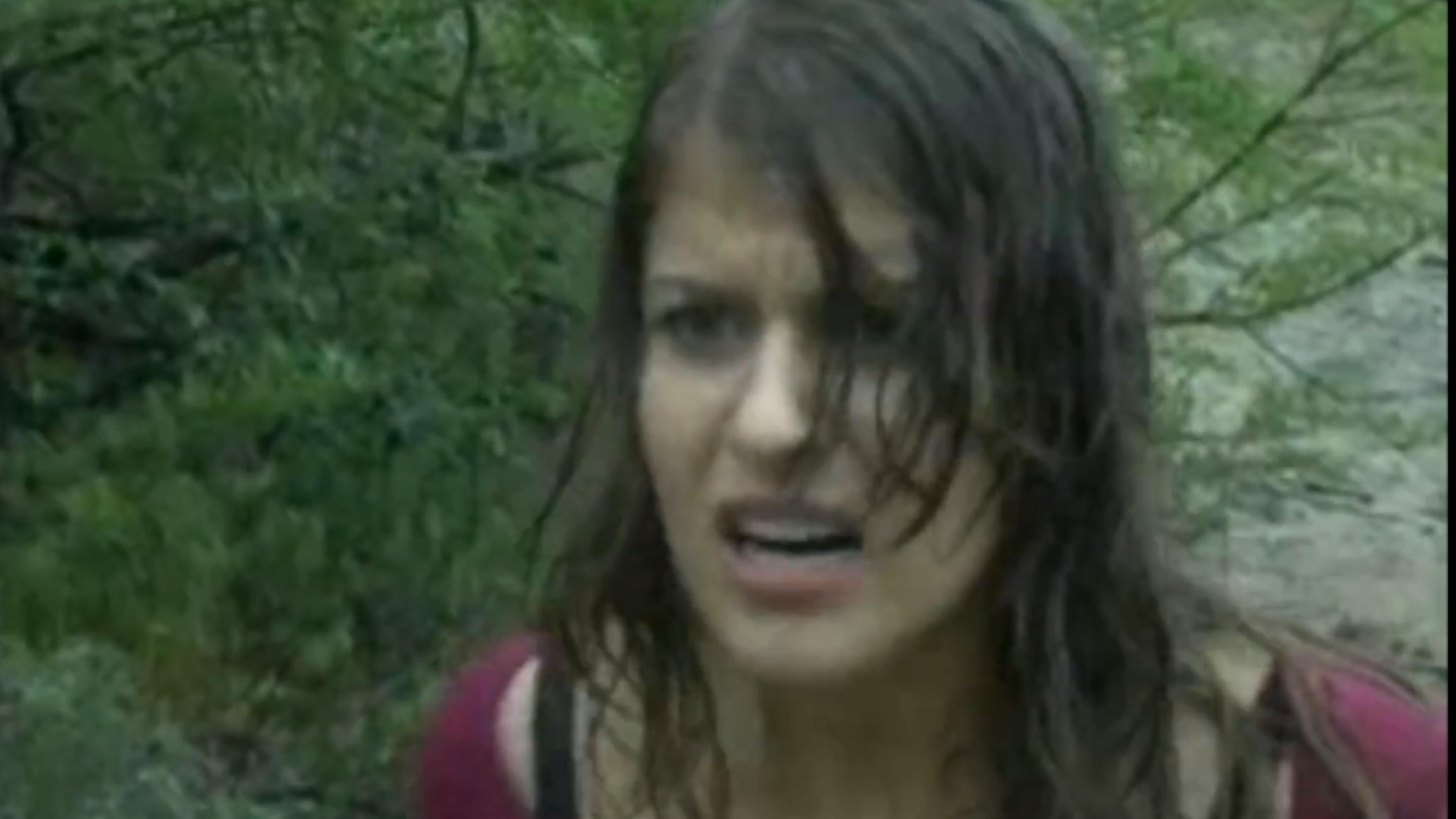 Within the Woods (2005)