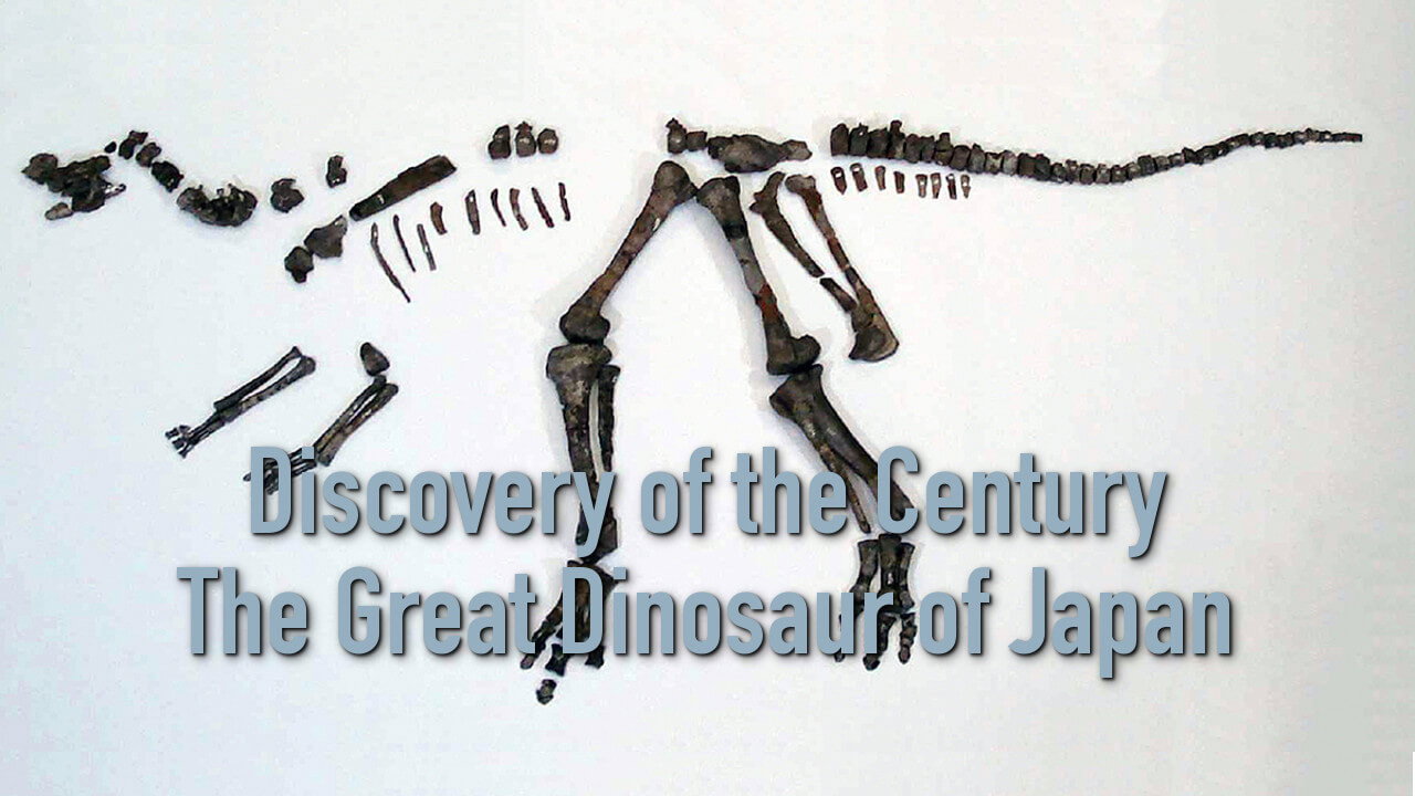Discovery of the Century — The Great Dinosaur of Japan