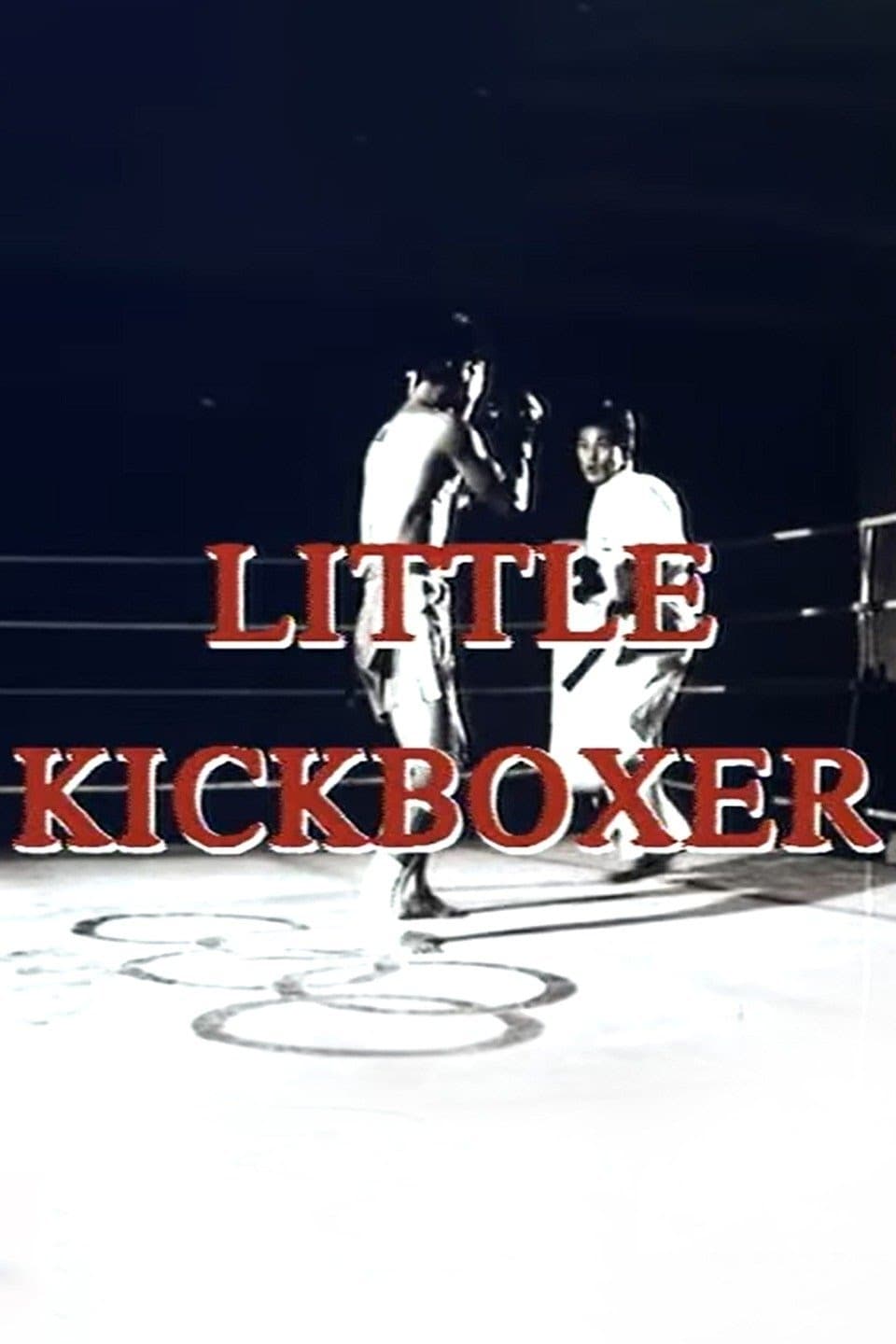 Thunder Ninja Kids : Little Kickboxer on FREECABLE TV