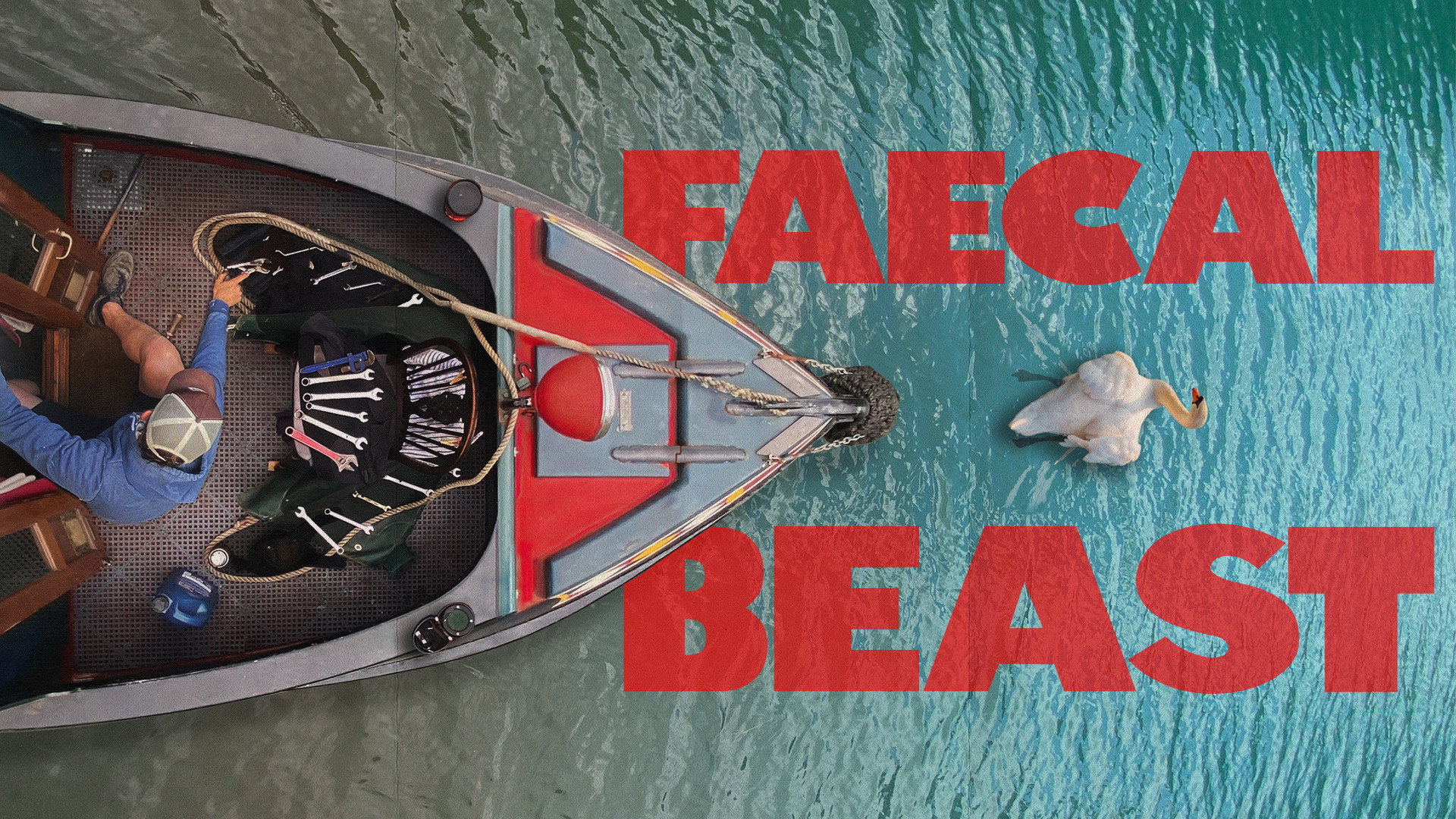 Faecal Beast