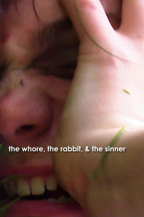 the whore, the rabbit, & the sinner Cover