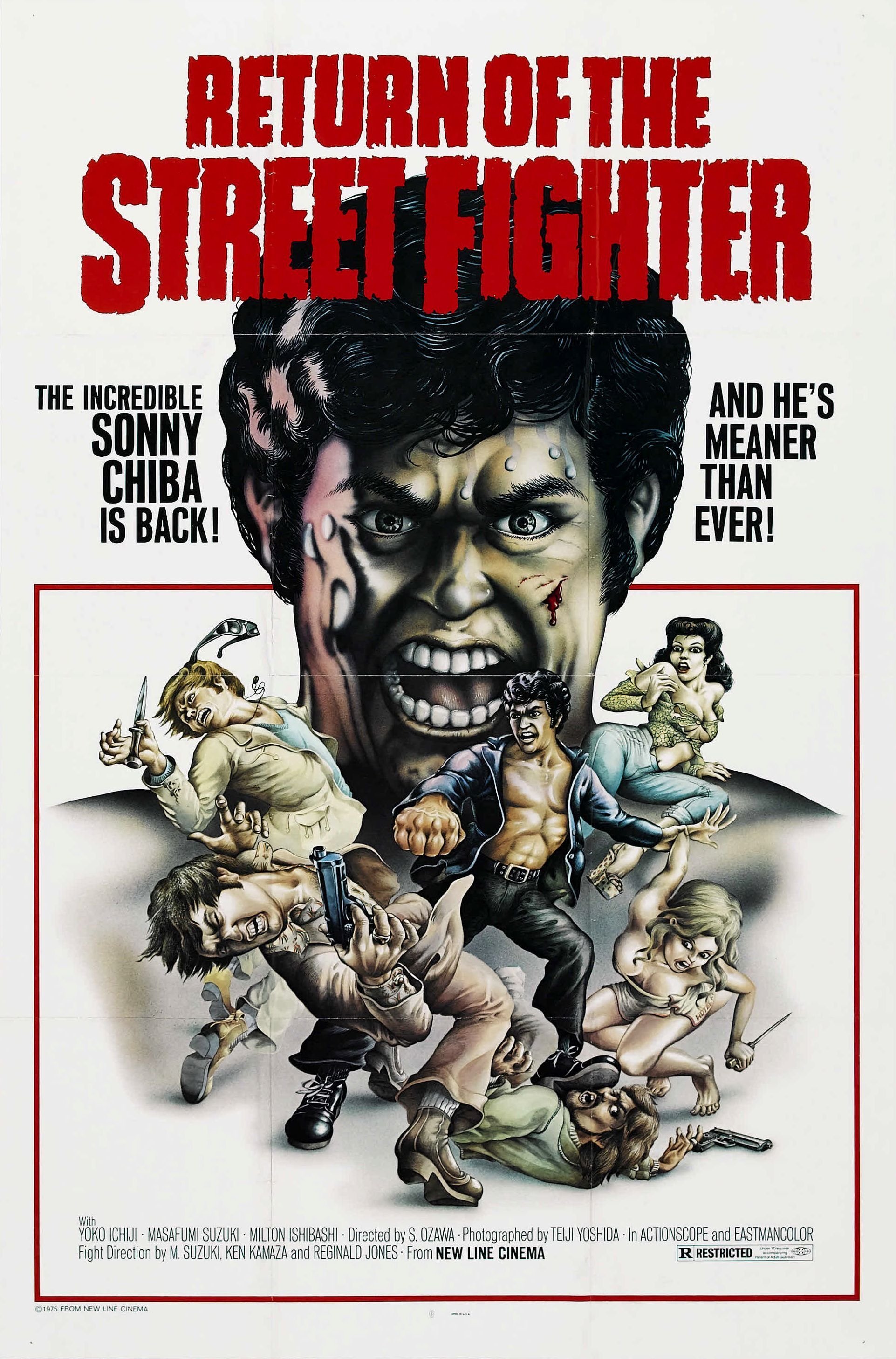 Return of the Street Fighter