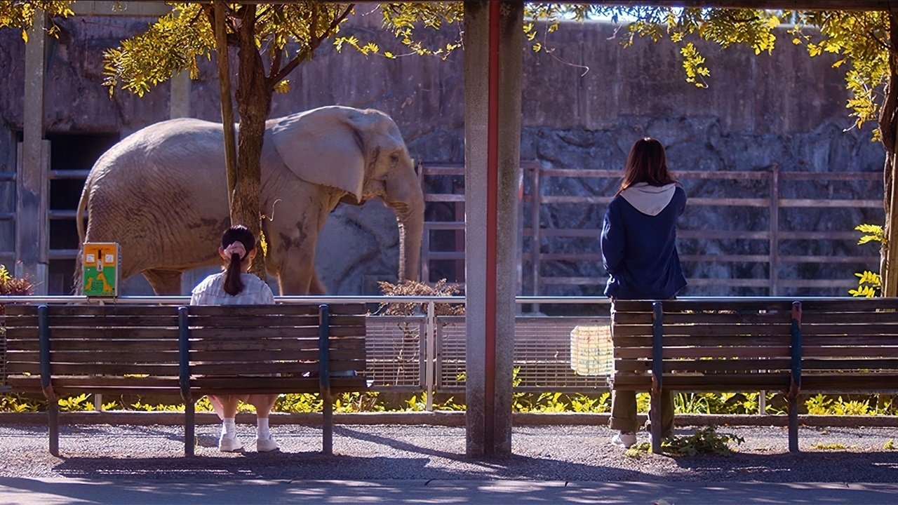 Women in the Zoo (2022)