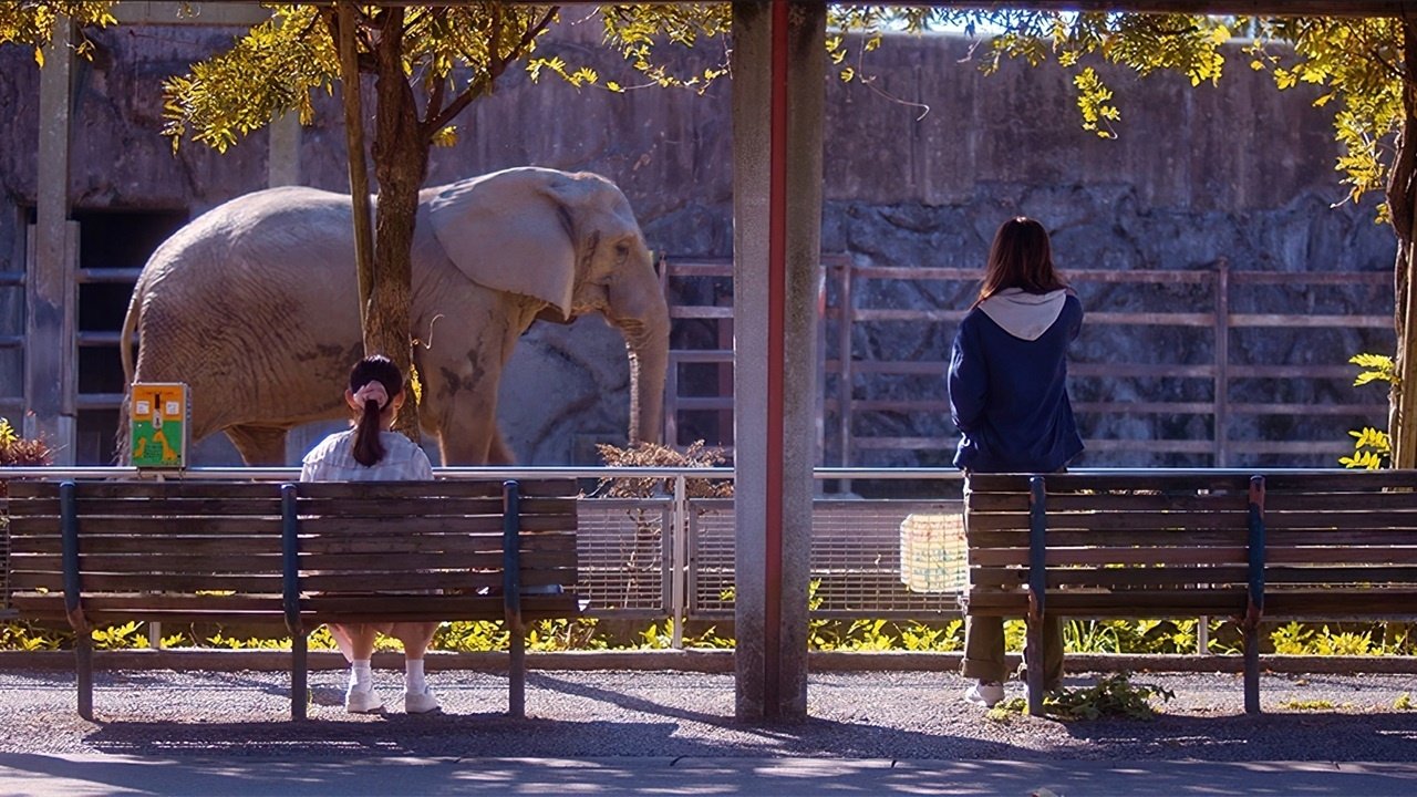 動物園のふたり