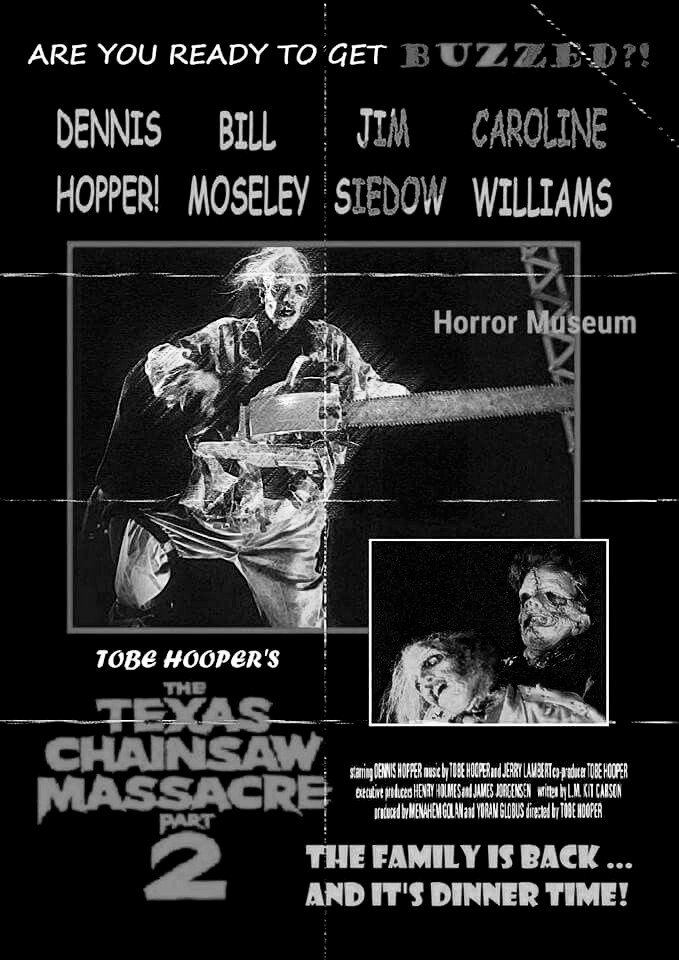 The Texas Chainsaw Massacre 2