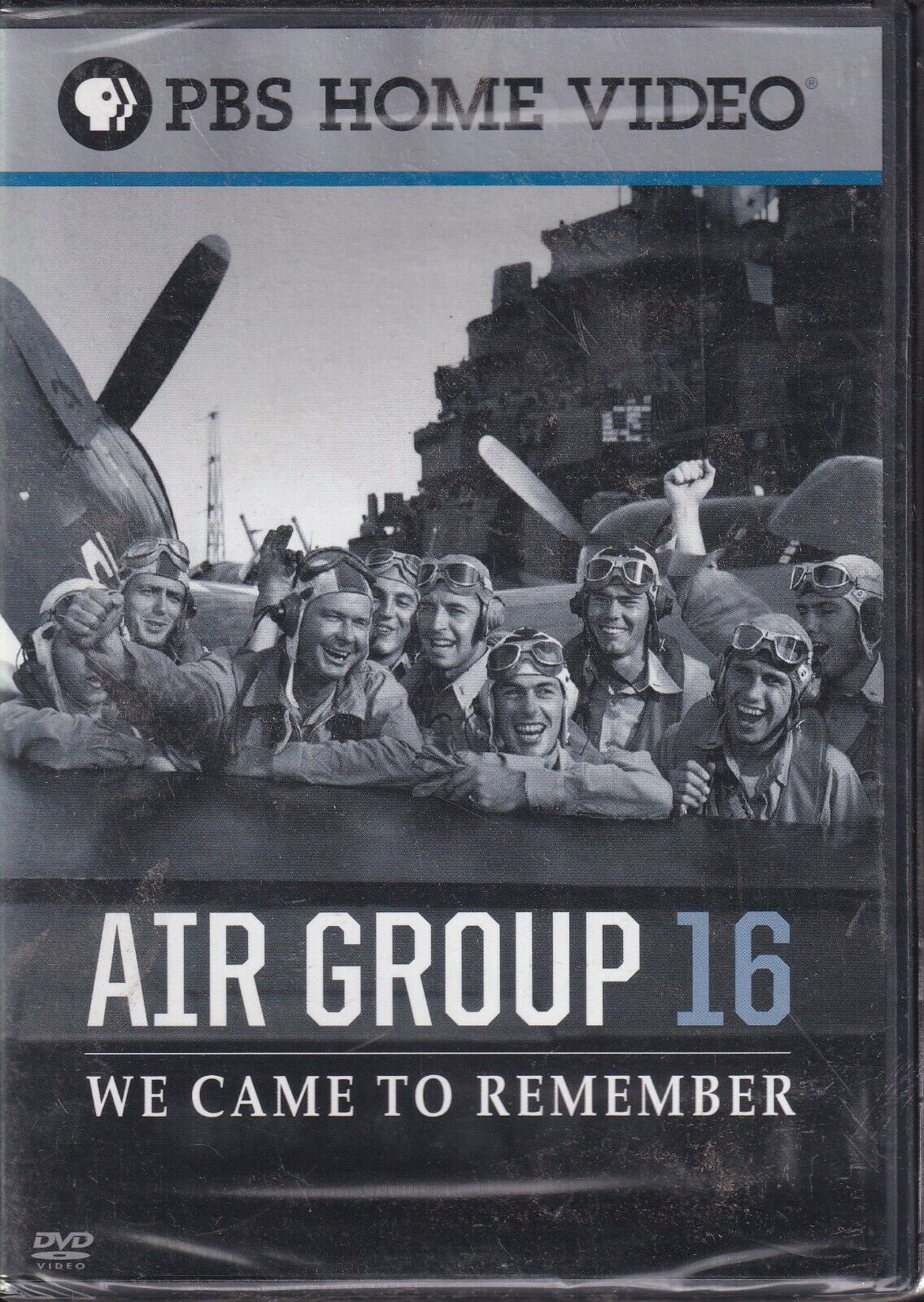 Air Group 16: We Came to Remember Poster