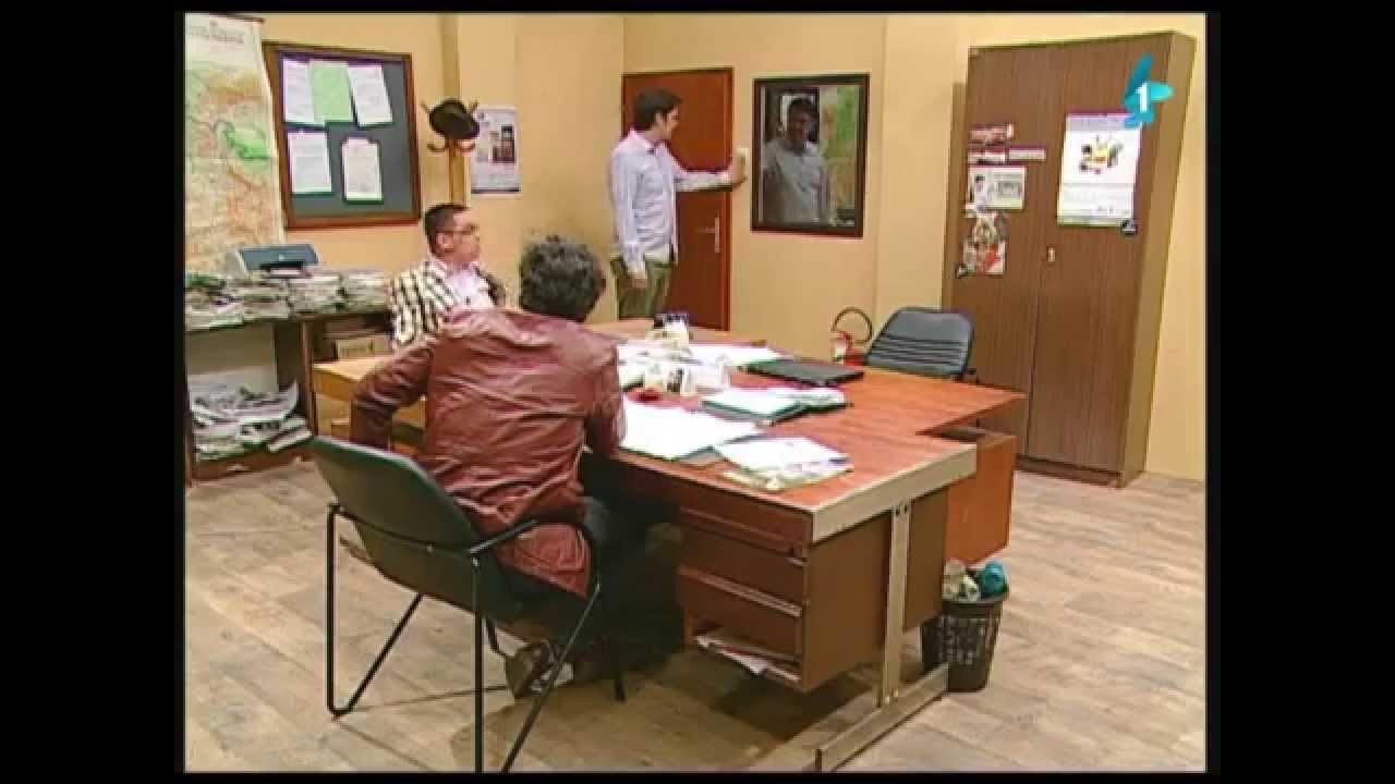 Government Job