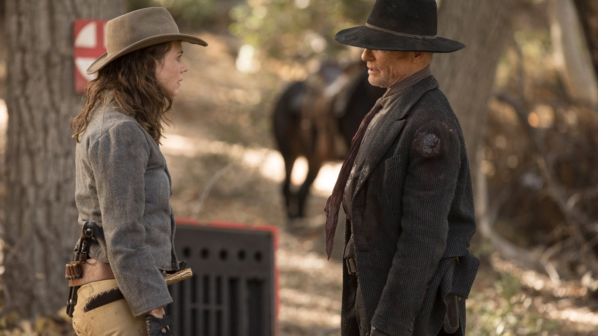 Westworld Season 2 :Episode 9  Vanishing Point