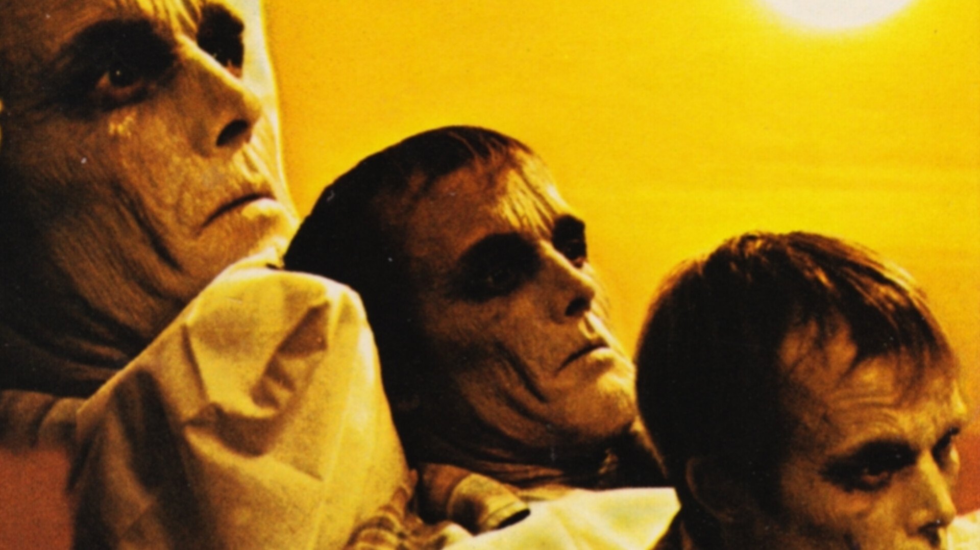 Dawn of the Dead (1978)