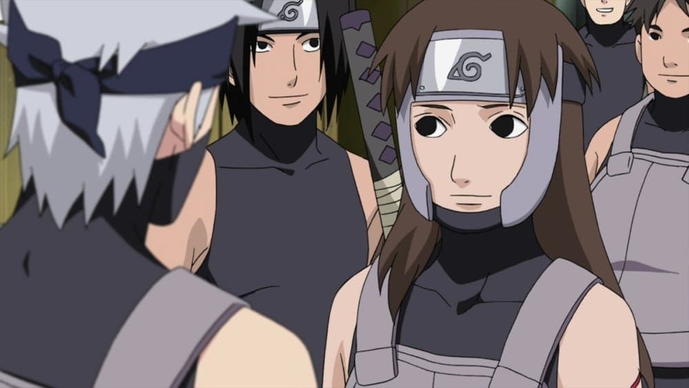Naruto Shippūden Season 16 :Episode 356  A Shinobi of the Leaf