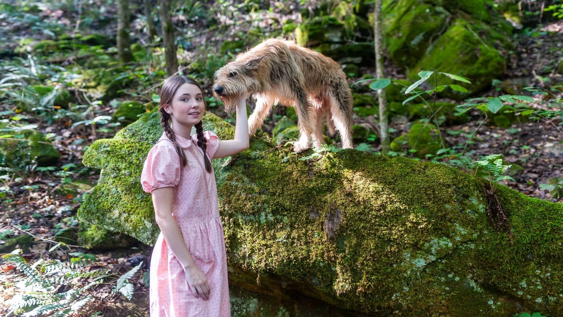The Science Adventures of Tom & Huck (2025)