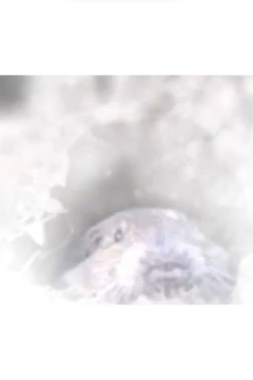 Out of the Winter...