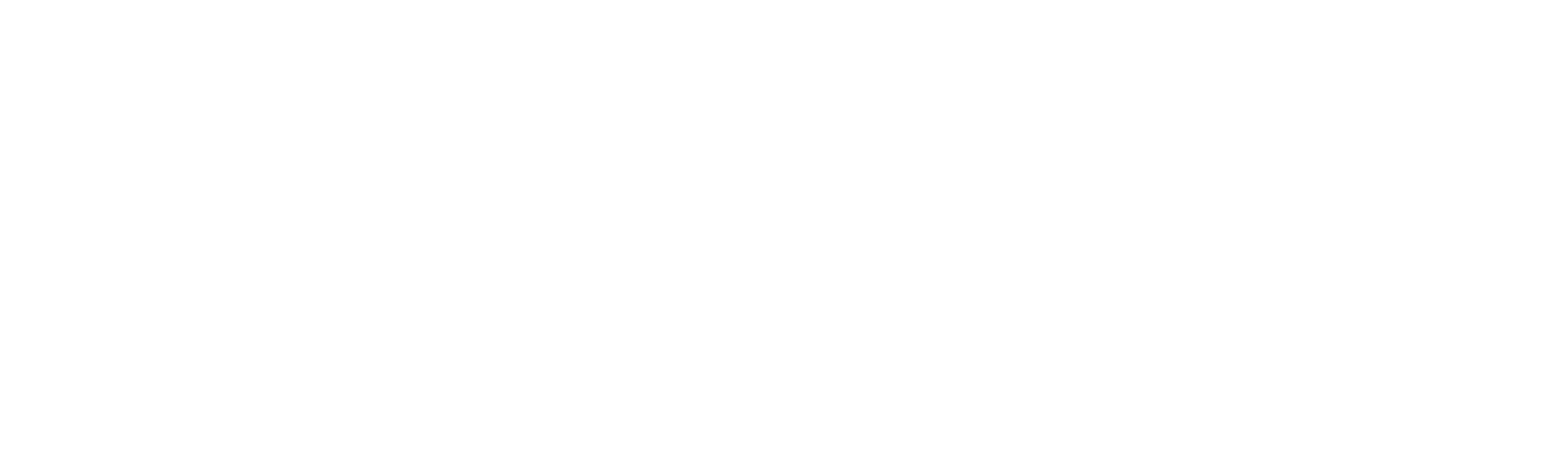 WondLa Logo