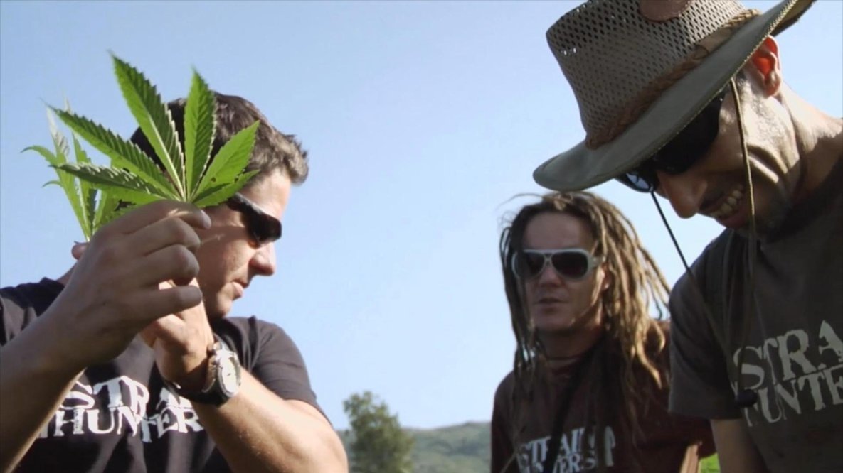 Thumbnail for Arjan Roskam, The King of Cannabis Season 1 Episode 5