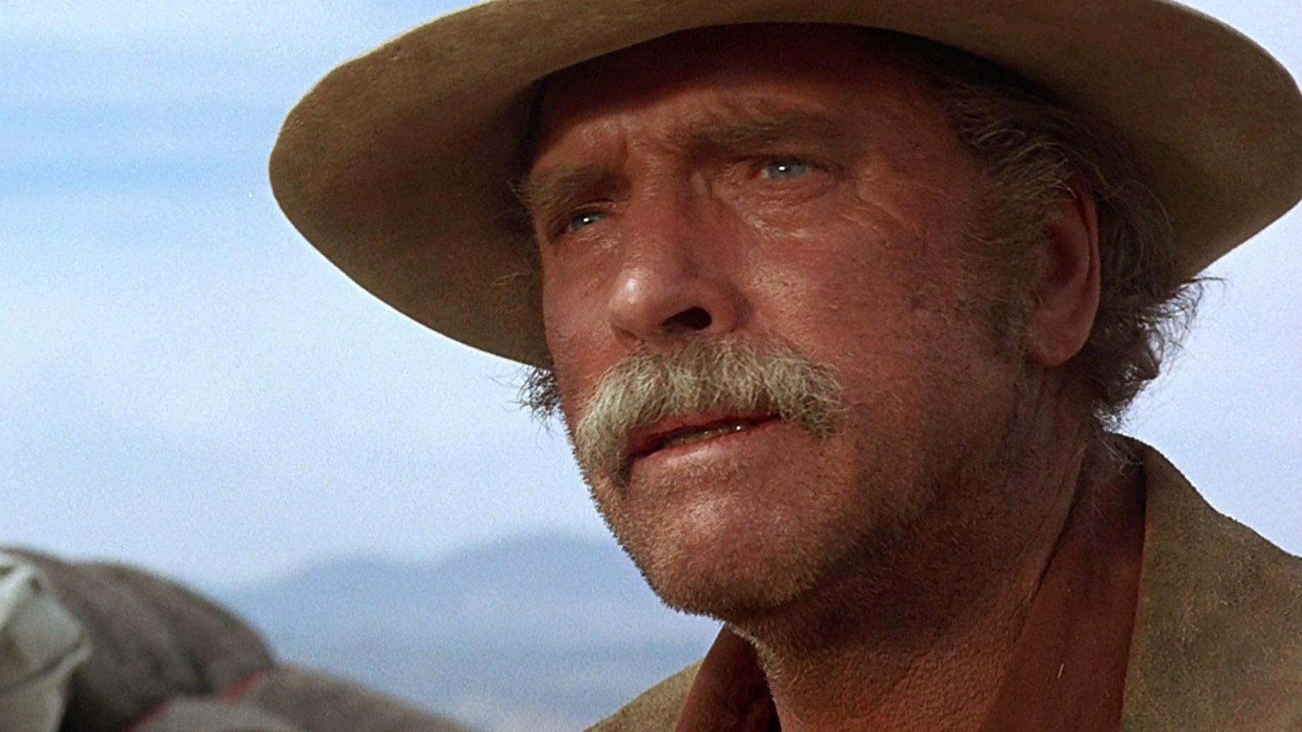Ulzana's Raid (1972)