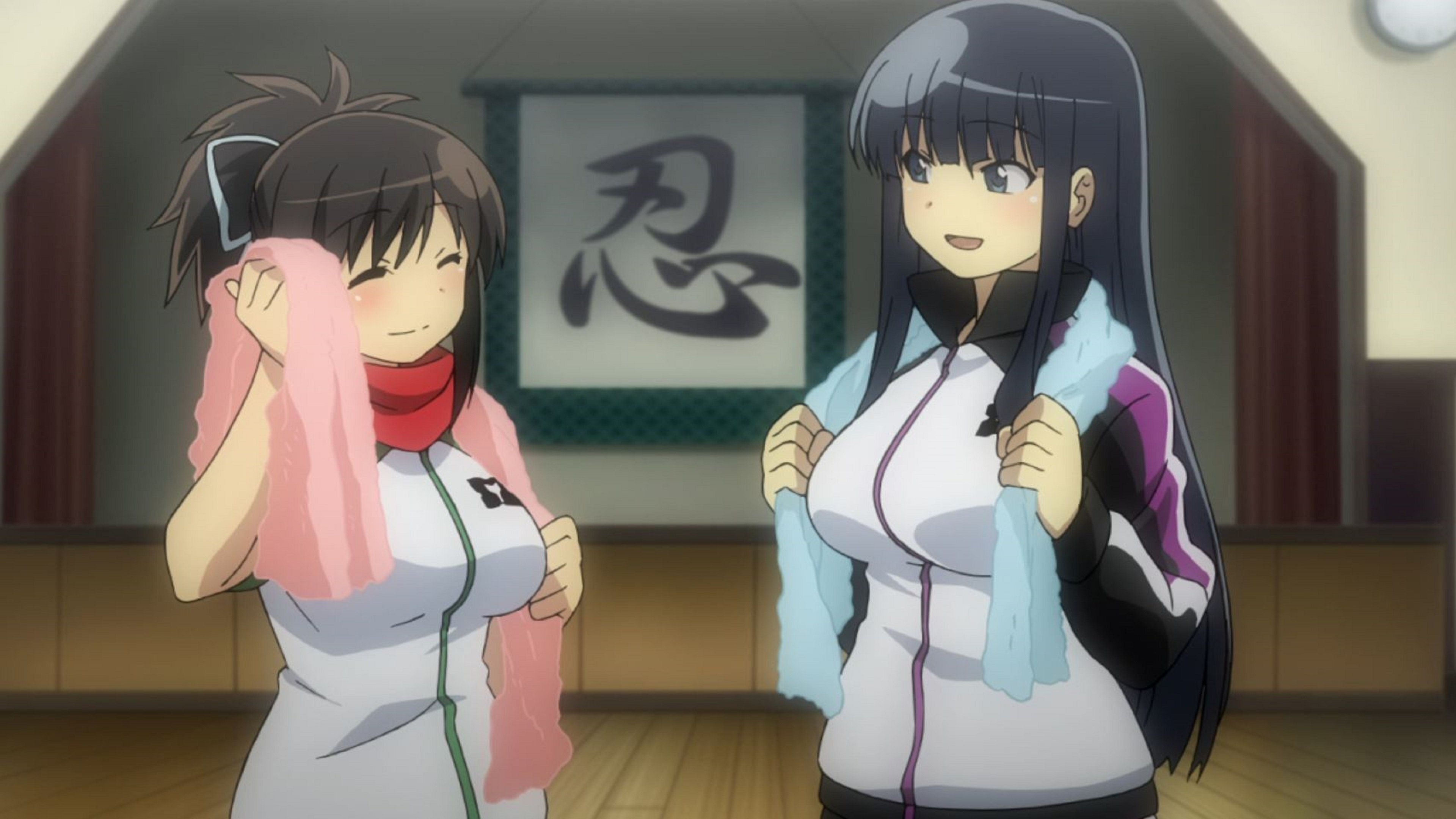Senran Kagura: Ninja Flash
