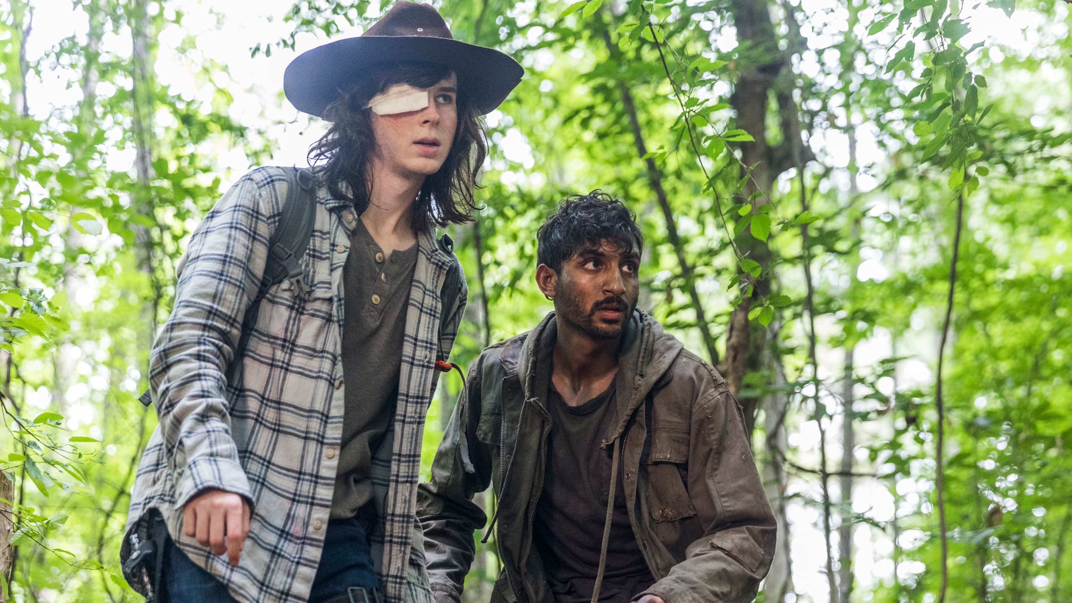 The Walking Dead Season 8 :Episode 6  The King, the Widow, and Rick