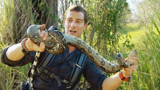 The Island with Bear Grylls