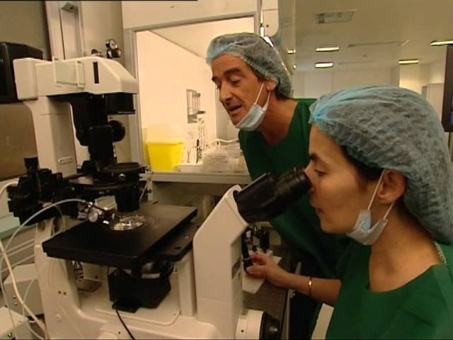 C'est pas sorcier - La fécondation in vitro : un enfant nomme désir