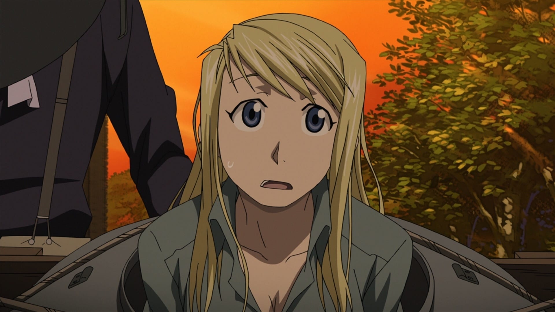 Fullmetal Alchemist: Brotherhood Season 1 :Episode 46  Looming Shadows