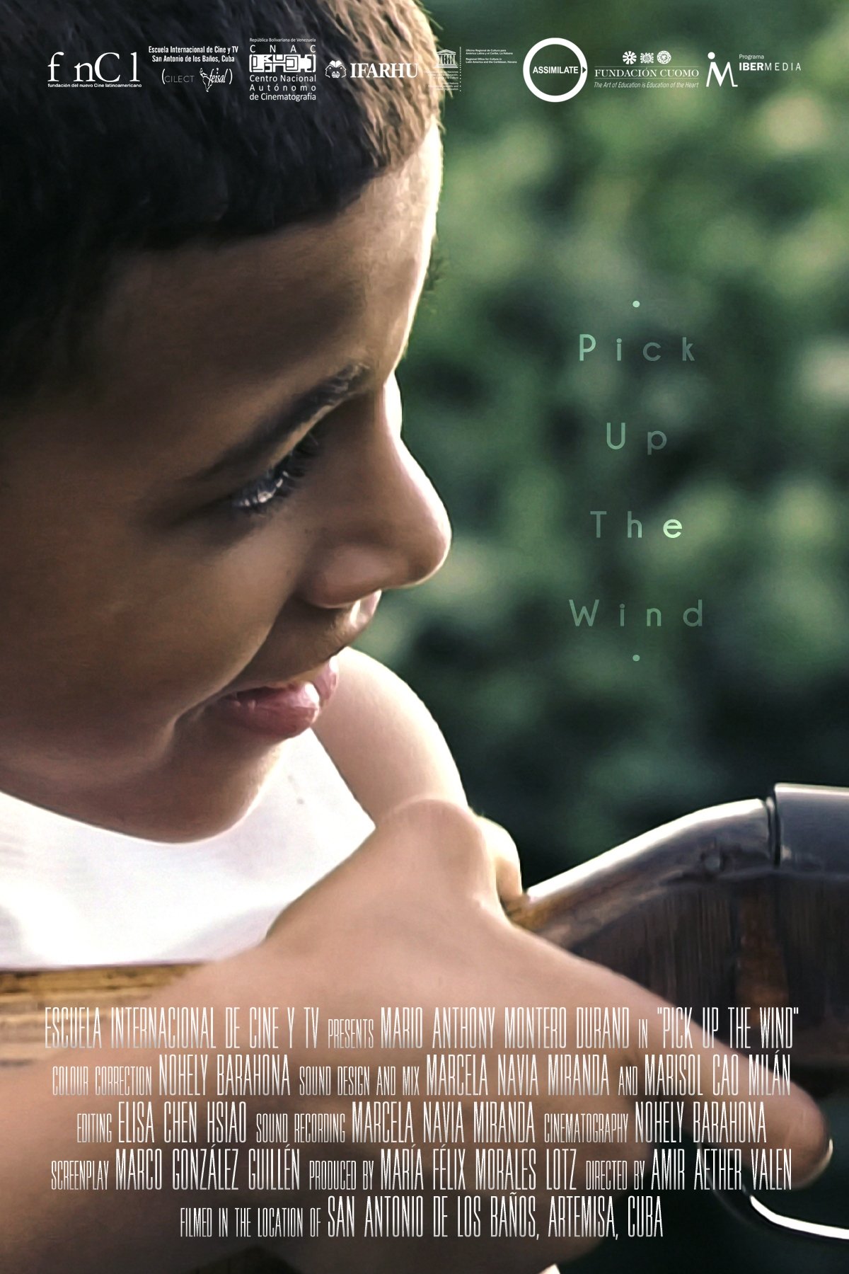 Pick up the Wind