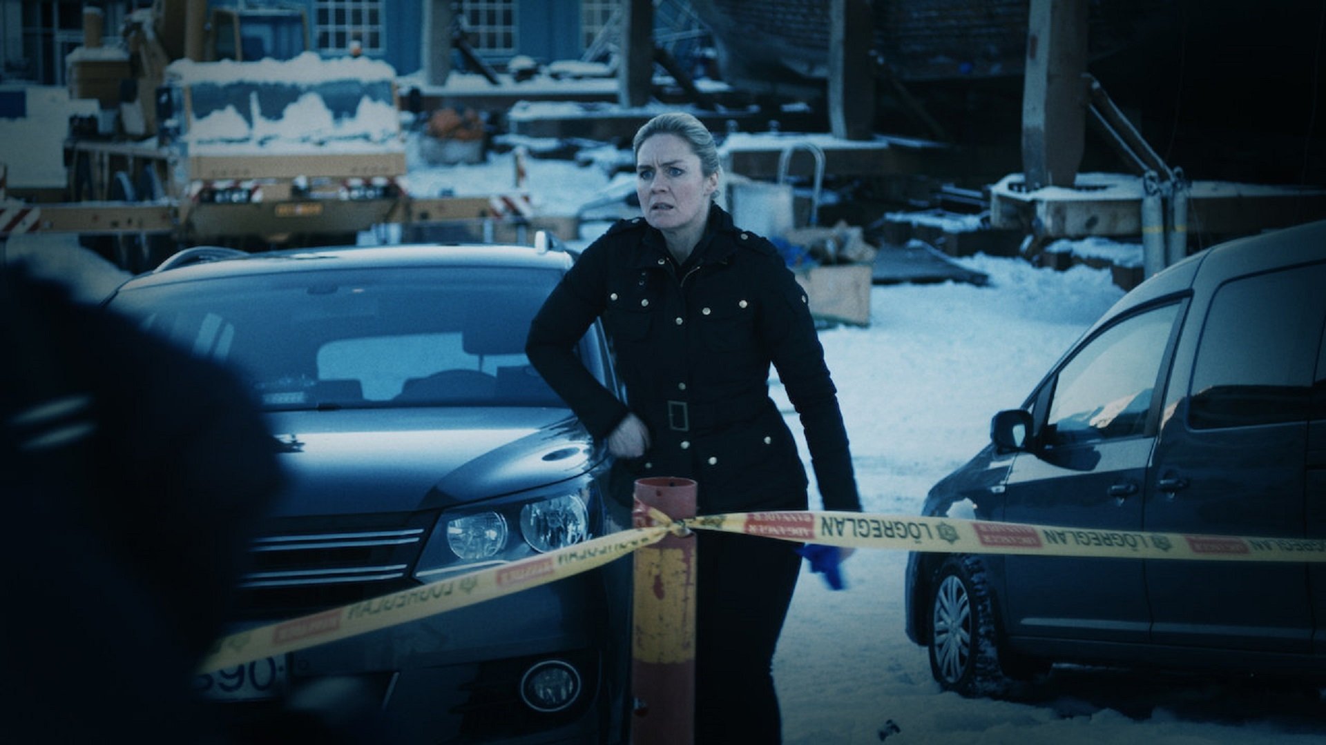 The Valhalla Murders (2020): Mistério e Crime em uma Comunidade Isolada na Islândia 1