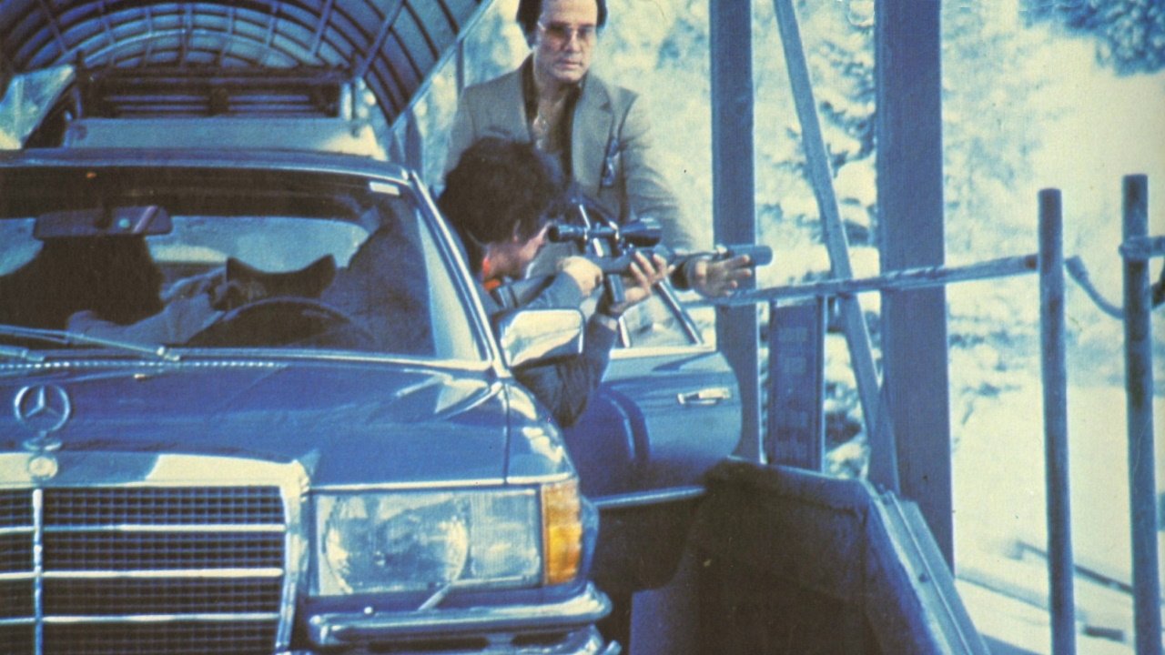 Love and Bullets (1979)