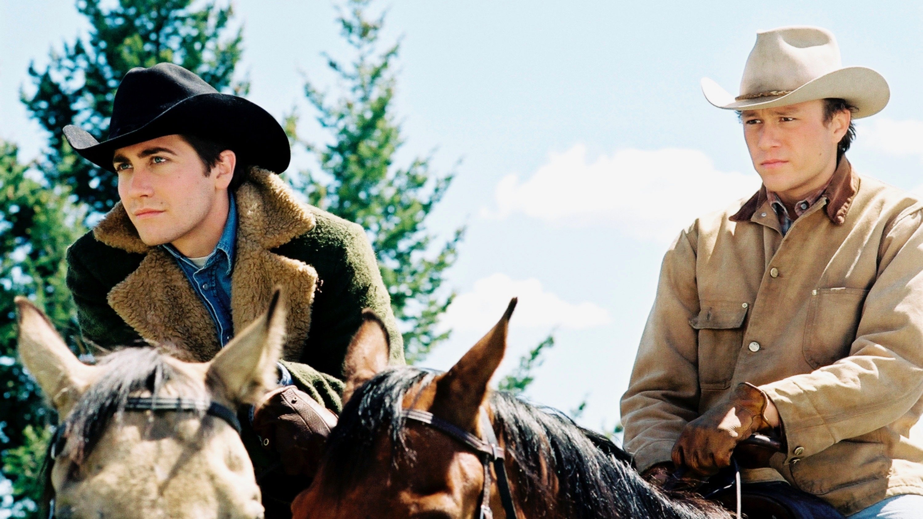 Image du film Le Secret de Brokeback Mountain gp9h4nb7f8bsawalgw6pigedidkjpg