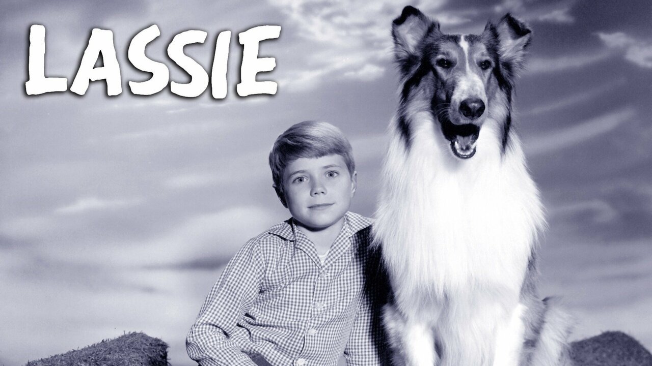 Lassie 6x1