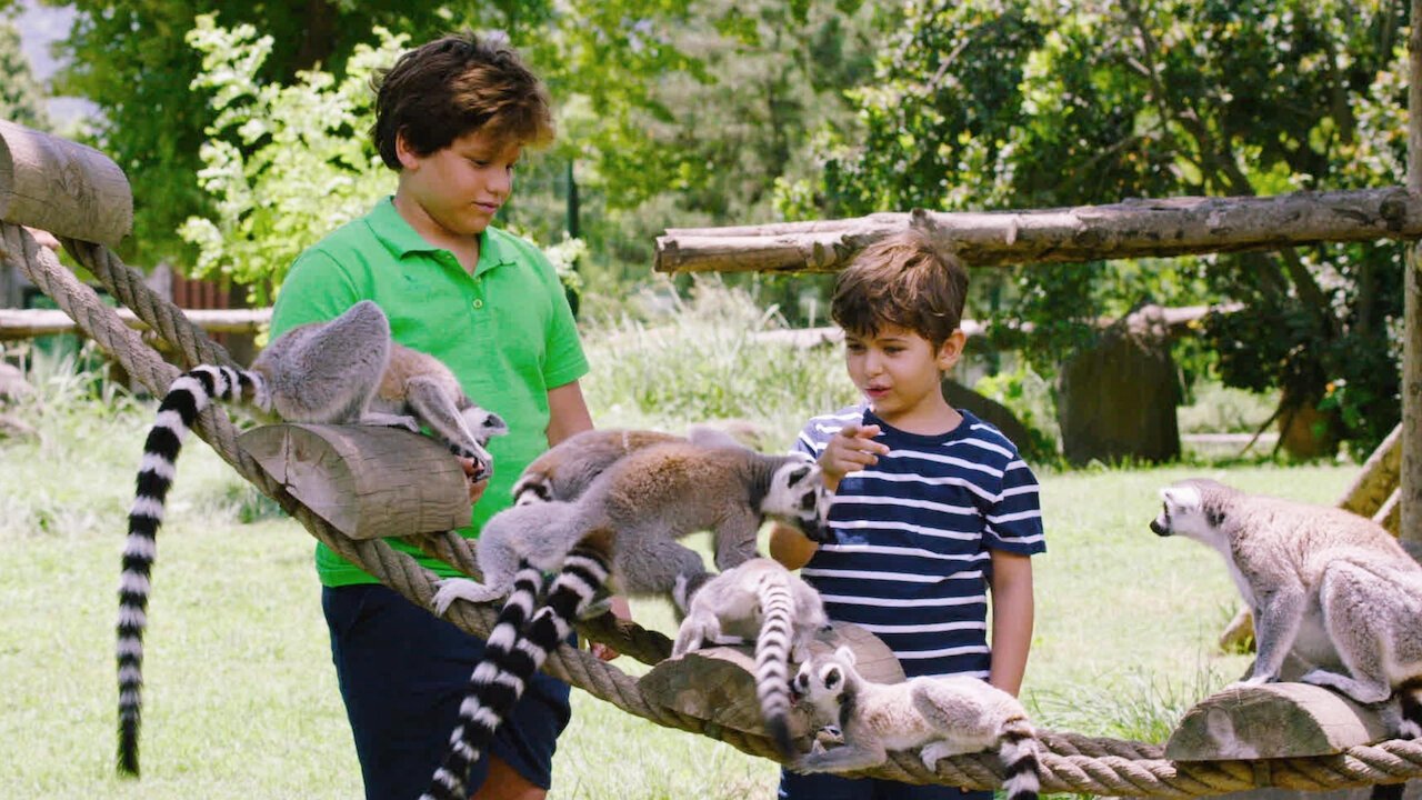 Talking Animals (2019)