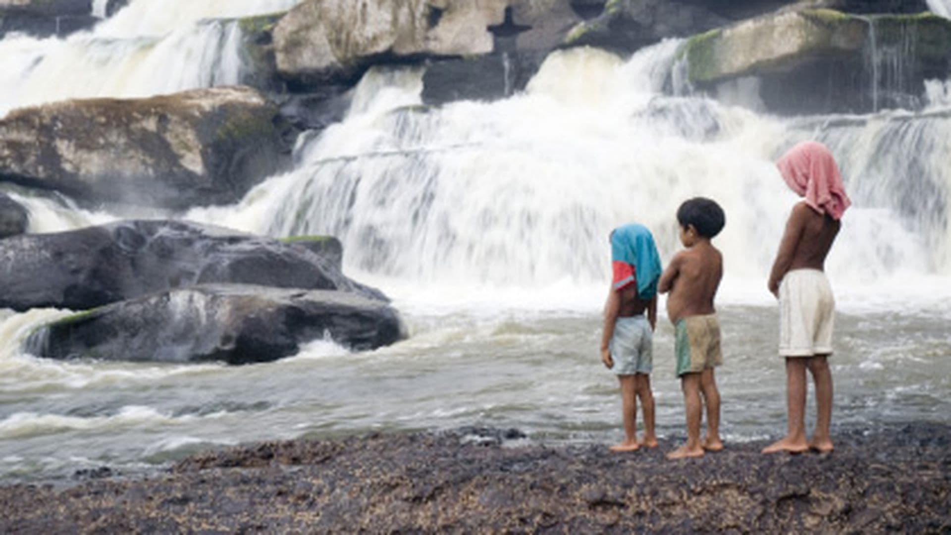 Apaporis, Secretos de la selva (2012)