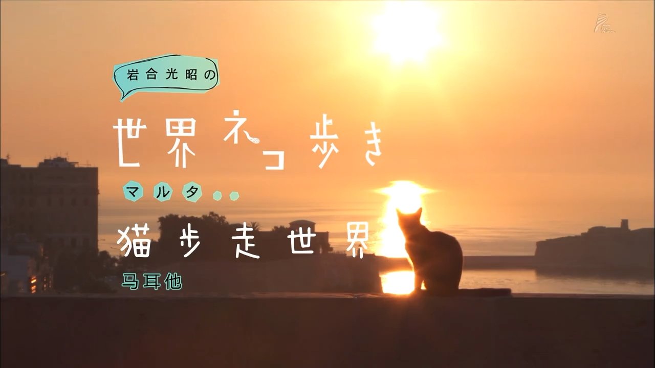 Episode 30