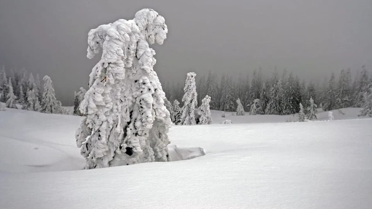 Winter am Alpenrand