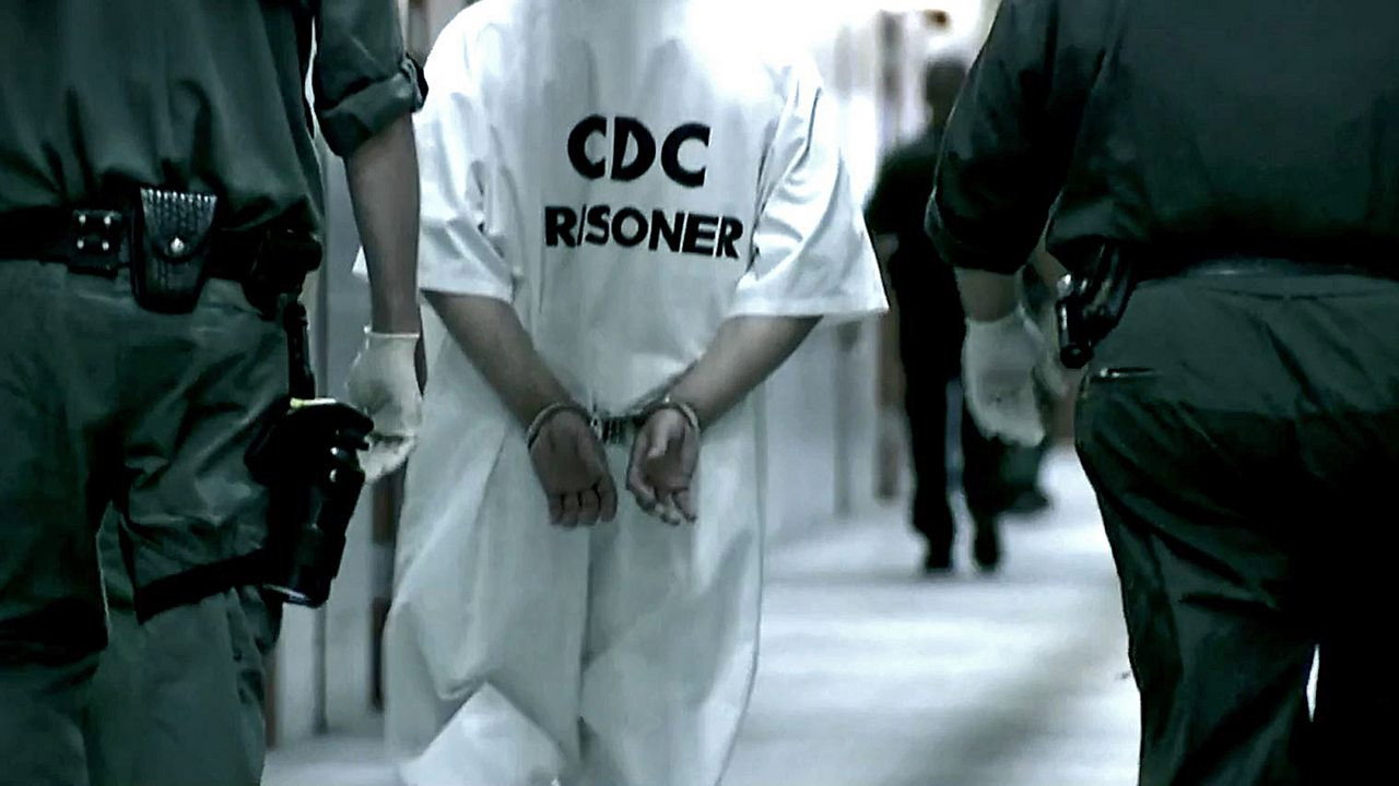 Our World S09E21 backdrop