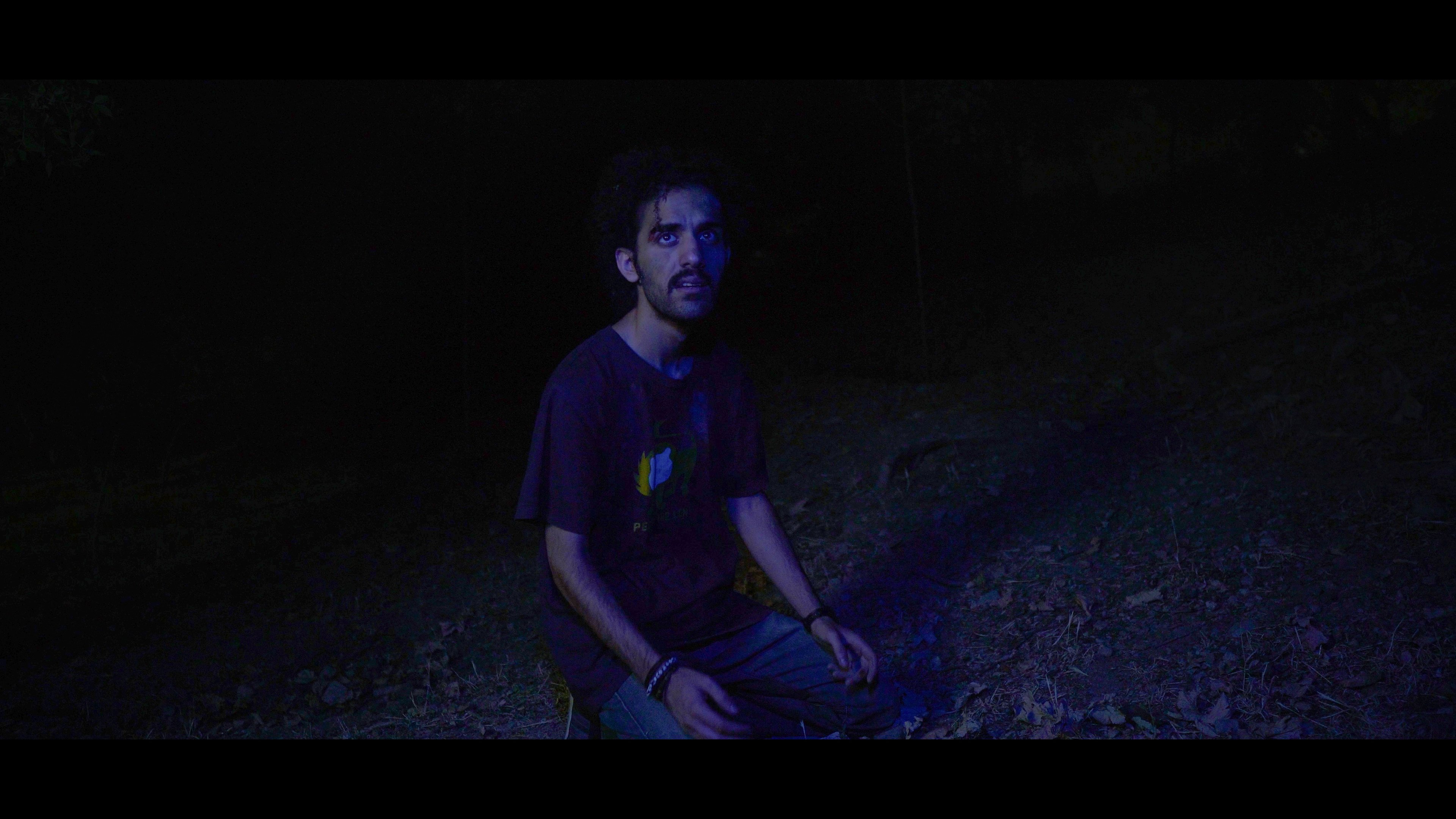 Music Forest (2024)