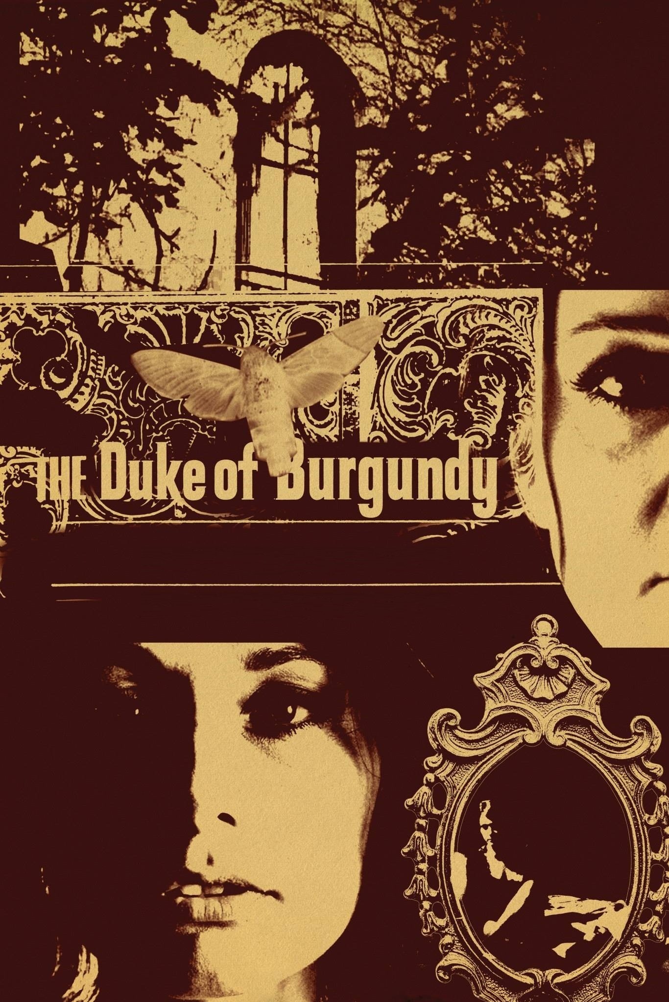 The Duke of Burgundy